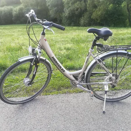 Black Forest Bollenhut Apartamento