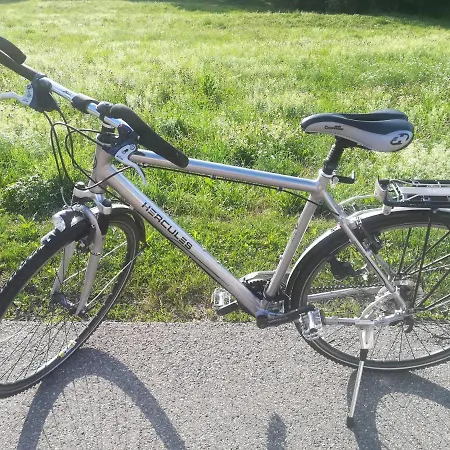 Black Forest Bollenhut Appartement