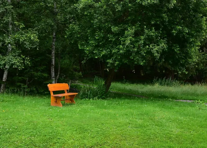 Black Forest Bollenhut アパート