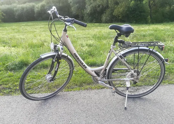 Black Forest Bollenhut アパート