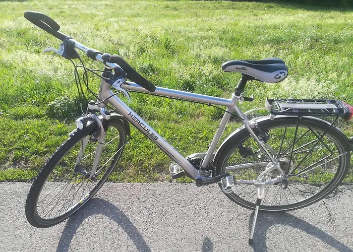 Black Forest Bollenhut Appartement